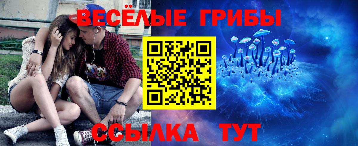 Псилоцибиновые грибы Magic Shrooms  Вход с VPN  Кингисепп 